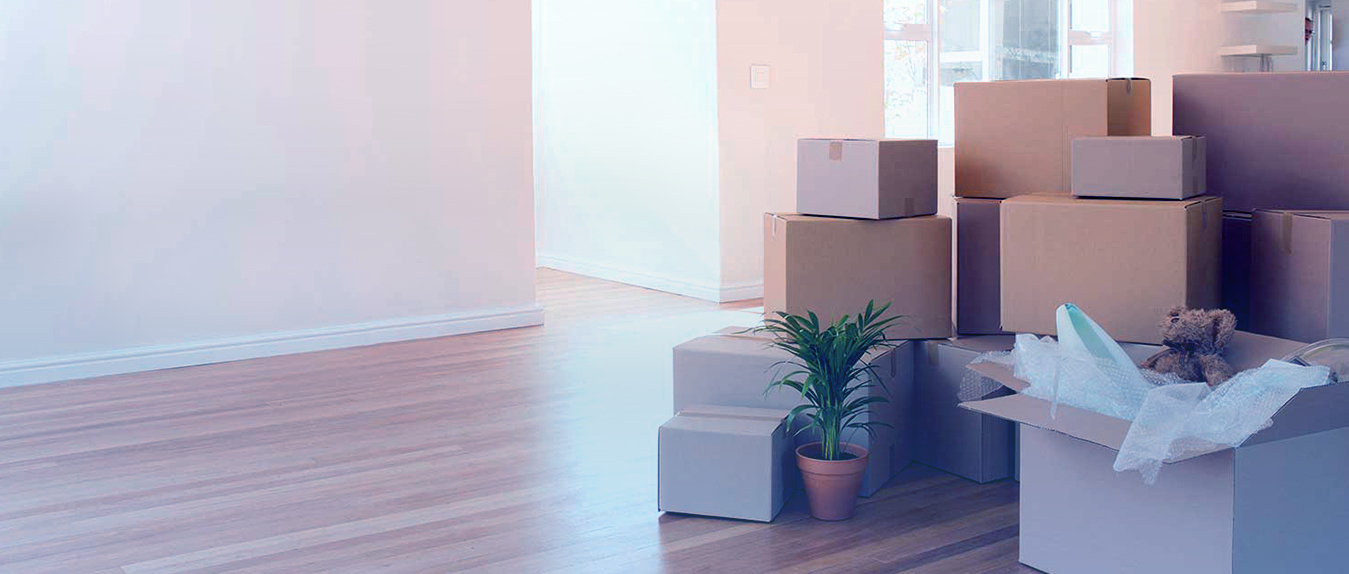 Packing & Moving